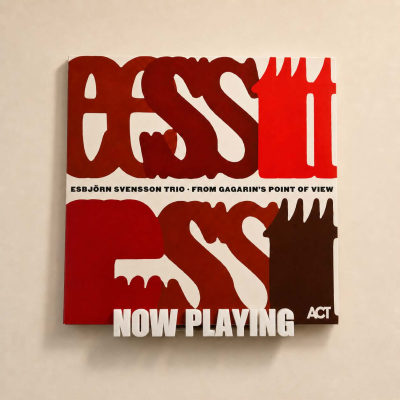 Now Playing Duvar Tipi Plak Standı – LP Kapak Sergileme Aparatı - Beyaz