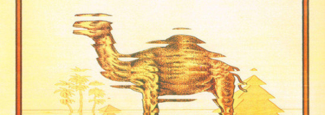 Camel - Mirage Camel - Mirage