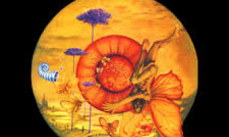 En İyi Progressive Rock Plakları