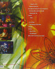 Nirvana - MTV Unplugged In New York Nirvana - MTV Unplugged In New York
