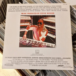 Stevie Wonder - The Woman In Red Stevie Wonder - The Woman In Red