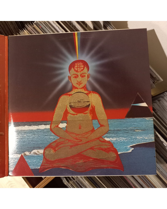 Devadip Carlos Santana - The Swing Of Delight