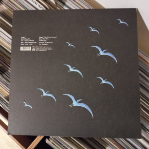 The Helio Sequence ‎- Keep Your Eyes Ahead