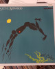 Steve Winwood - Arc Of A Diver
