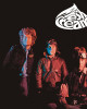 Cream - Fresh Cream Cream - Fresh Cream