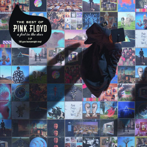 Pink Floyd - The Best Of Pink Floyd: A Foot In The Door