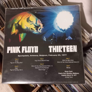 Pink Floyd - Thirteen