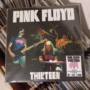 Pink Floyd - Thirteen