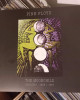 Pink Floyd - The Moonchild Archives -1966 / 1967 Pink Floyd - The Moonchild Archives -1966 / 1967