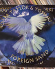 Roger Taylor & Yoshiki - Foreign Sand (Maxi Single - Picture Disc) Roger Taylor & Yoshiki - Foreign Sand (Maxi Single - Picture Disc)