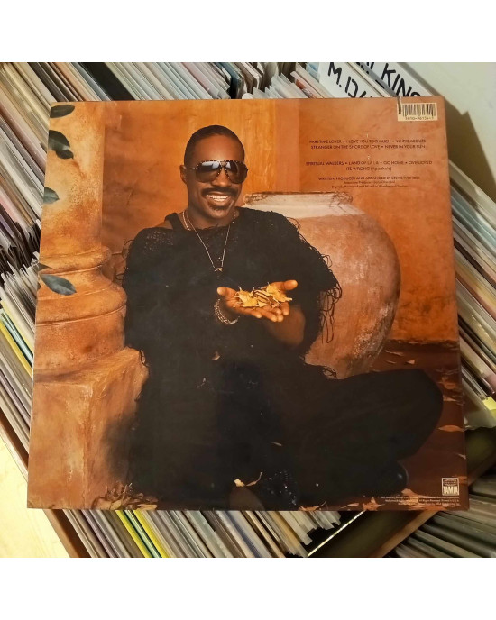 Stevie Wonder - In Square Circle Stevie Wonder - In Square Circle