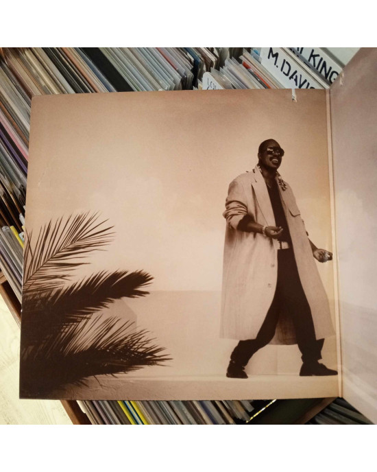Stevie Wonder - In Square Circle Stevie Wonder - In Square Circle