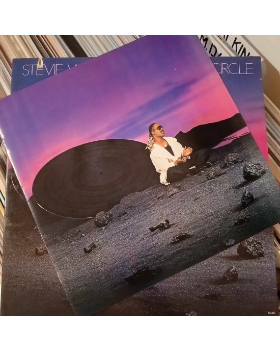 Stevie Wonder - In Square Circle Stevie Wonder - In Square Circle