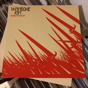 Wishbone Ash - Number The Brave