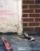 Amy Winehouse - Frank Amy Winehouse - Frank