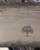Genesis - Wind & Wuthering - Türkiye Genesis - Wind & Wuthering - Türkiye