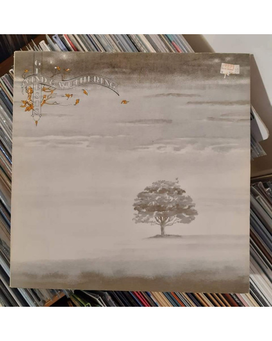 Genesis - Wind & Wuthering