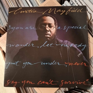 Curtis Mayfield - Never Say You Can't Survive
