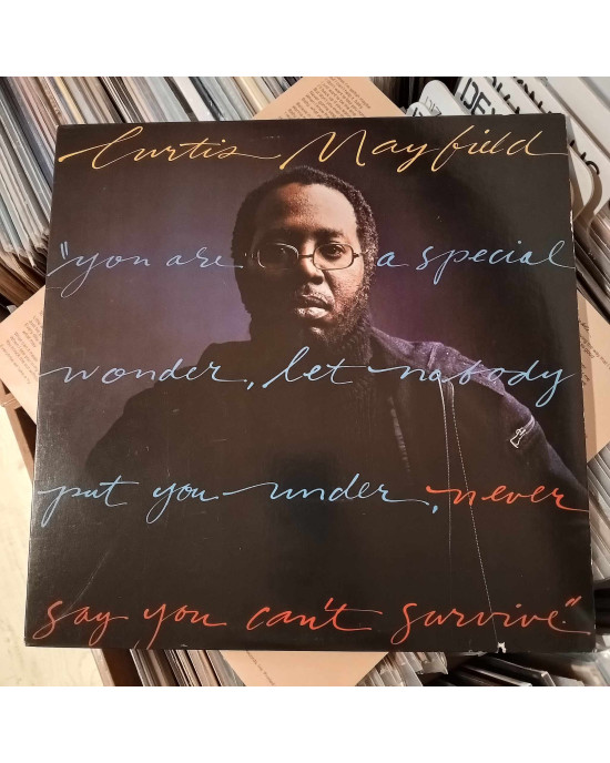 Curtis Mayfield - Never Say You Can't Survive