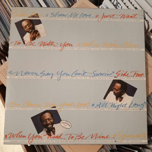 Curtis Mayfield - Never Say You Can't Survive