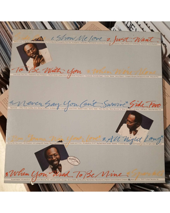 Curtis Mayfield - Never Say You Can't Survive