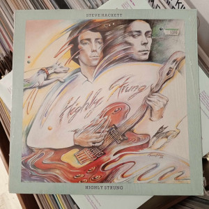Steve Hackett - Highly Strung