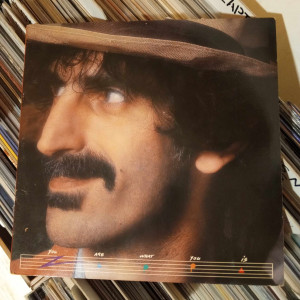 Frank Zappa - You Are What You Is