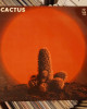 Cactus - Cactus Cactus - Cactus
