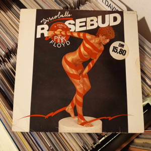 Rosebud - Discoballs (A Tribute To Pink Floyd)