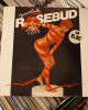 Rosebud - Discoballs (A Tribute To Pink Floyd) Rosebud - Discoballs (A Tribute To Pink Floyd)