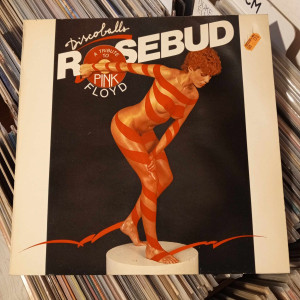Rosebud - Discoballs (A Tribute To Pink Floyd)