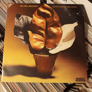 Big Bill Broonzy - Black, Brown And White