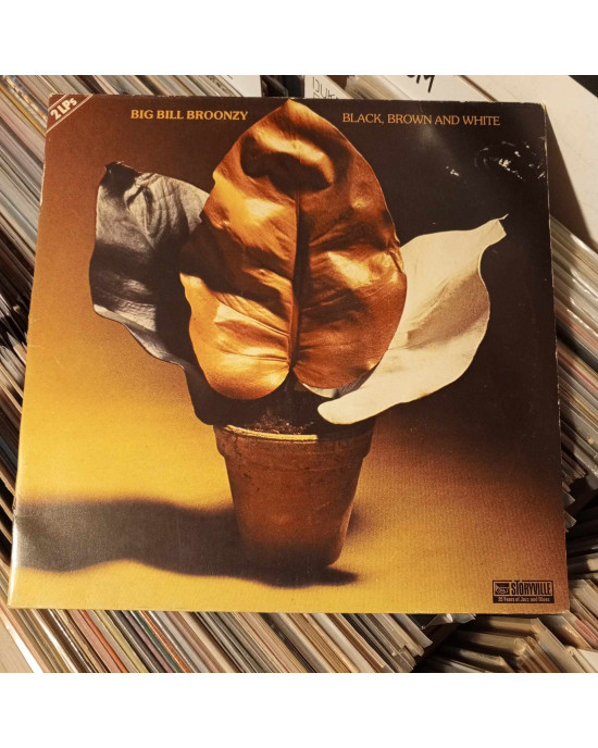 Big Bill Broonzy - Black, Brown And White Big Bill Broonzy - Black, Brown And White