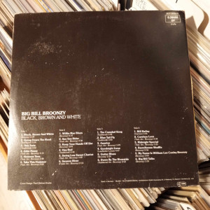 Big Bill Broonzy - Black, Brown And White