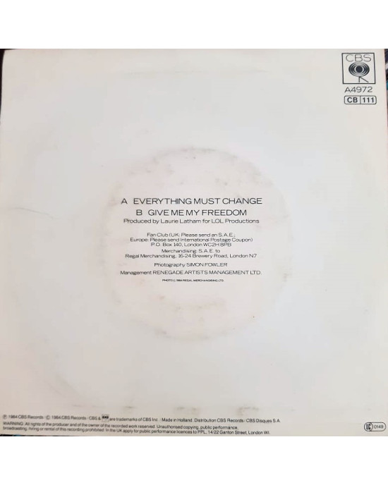 Paul Young - Everything Must Change - 45'lik Paul Young - Everything Must Change - 45'lik