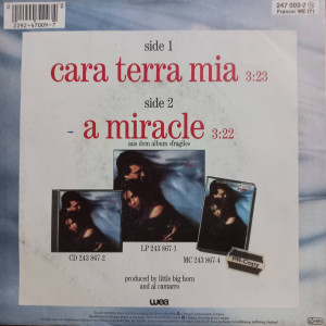 Al Bano & Romina Power - Cara Terra Mia - 45'lik Al Bano & Romina Power - Cara Terra Mia - 45'lik