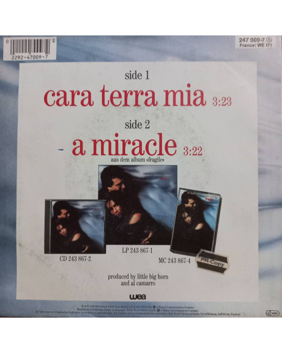 Al Bano & Romina Power - Cara Terra Mia - 45'lik