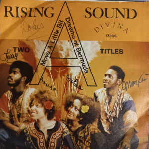 Rising Sound - Move A Little Bit - 45'lik