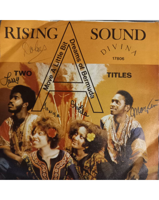 Rising Sound - Move A Little Bit - 45'lik