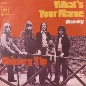 Chicory Tip - What's Your Name - 45'lik