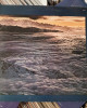 Santana - Moonflower Santana - Moonflower