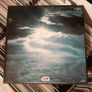 Peter Green - In The Skies - Yeşil Şeffaf Plak Peter Green - In The Skies - Yeşil Şeffaf Plak