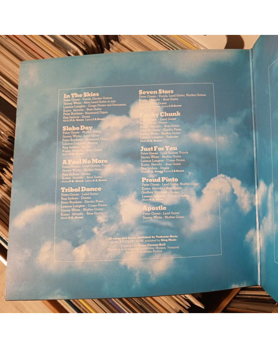 Peter Green - In The Skies - Yeşil Şeffaf Plak Peter Green - In The Skies - Yeşil Şeffaf Plak