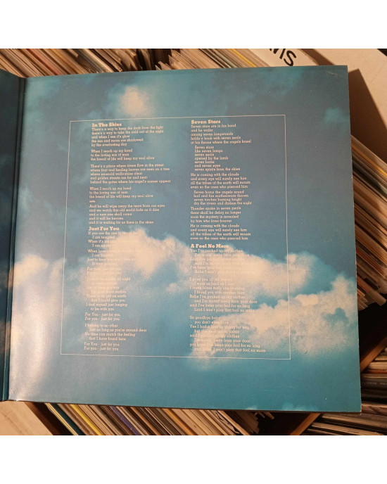 Peter Green - In The Skies - Yeşil Şeffaf Plak Peter Green - In The Skies - Yeşil Şeffaf Plak