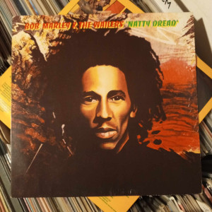 Bob Marley & The Wailers - Natty Dread
