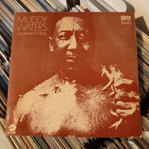 Muddy Waters - Experiment In Blues