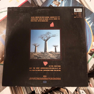 Pink Floyd - Delicate Sound Of Thunder