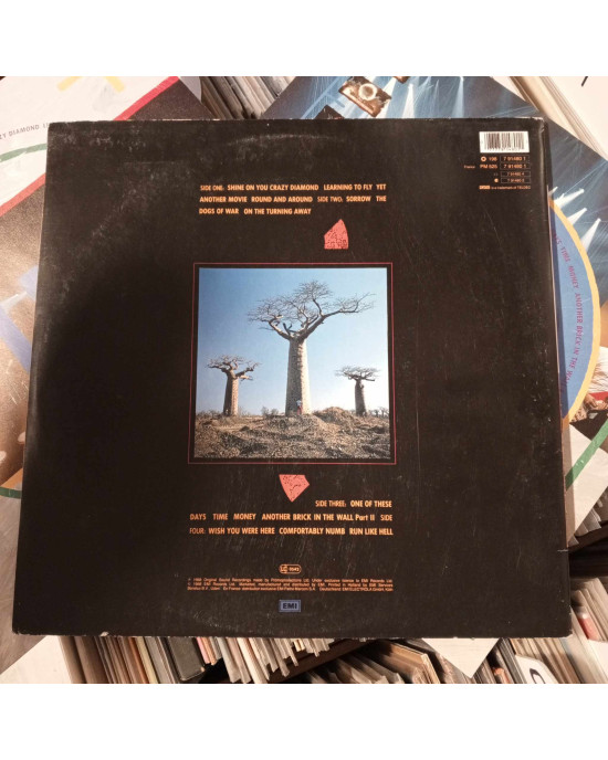 Pink Floyd - Delicate Sound Of Thunder Pink Floyd - Delicate Sound Of Thunder
