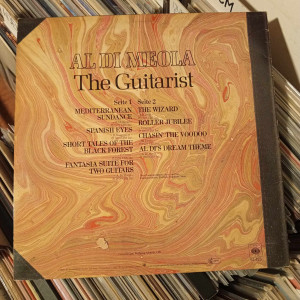 Al Di Meola - The Guitarist Al Di Meola - The Guitarist