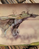 Yes - Yessongs - 3xLP Yes - Yessongs - 3xLP